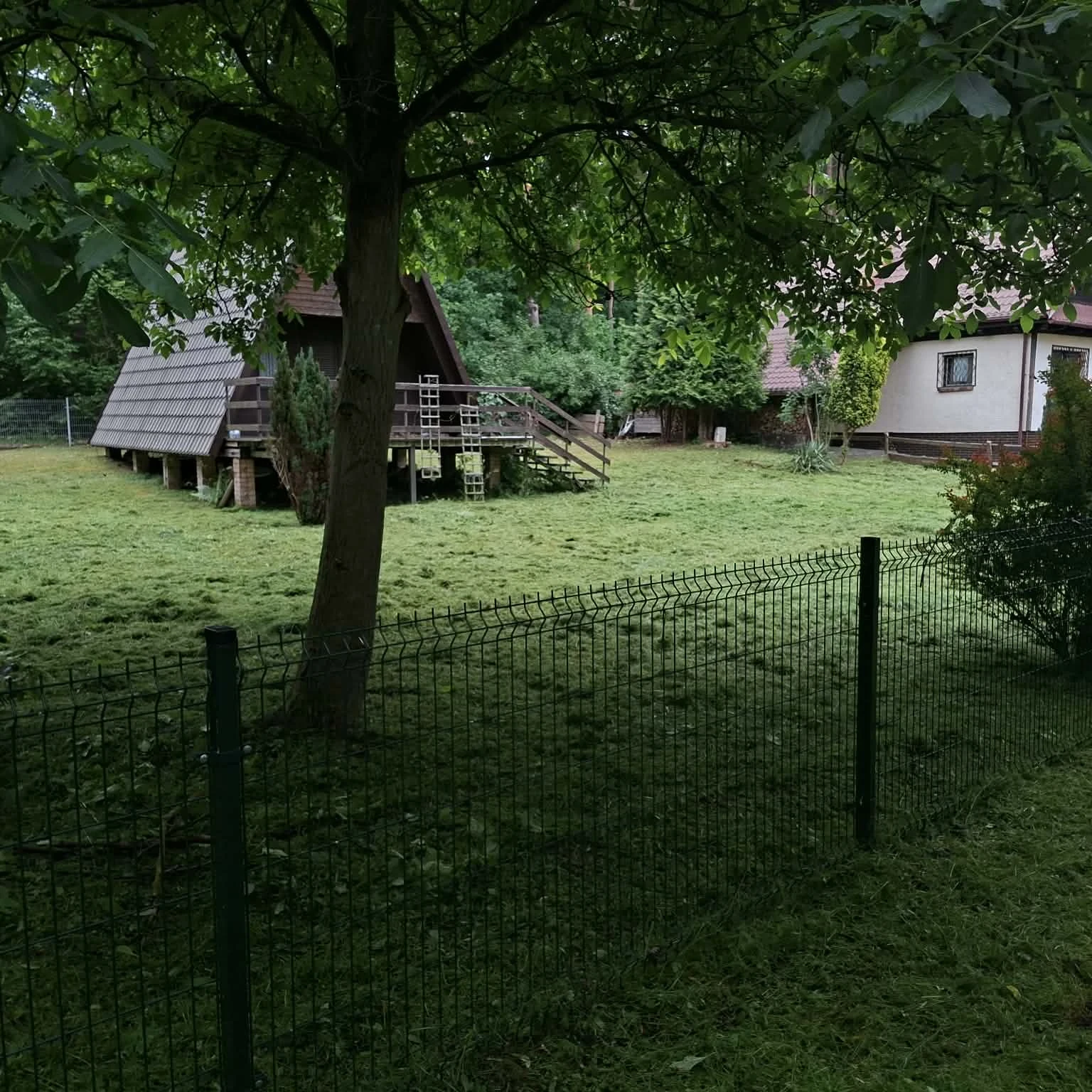 Stan po skoszeniu - zadbany, nisko przystrzyżony trawnik w Zielonej Górze