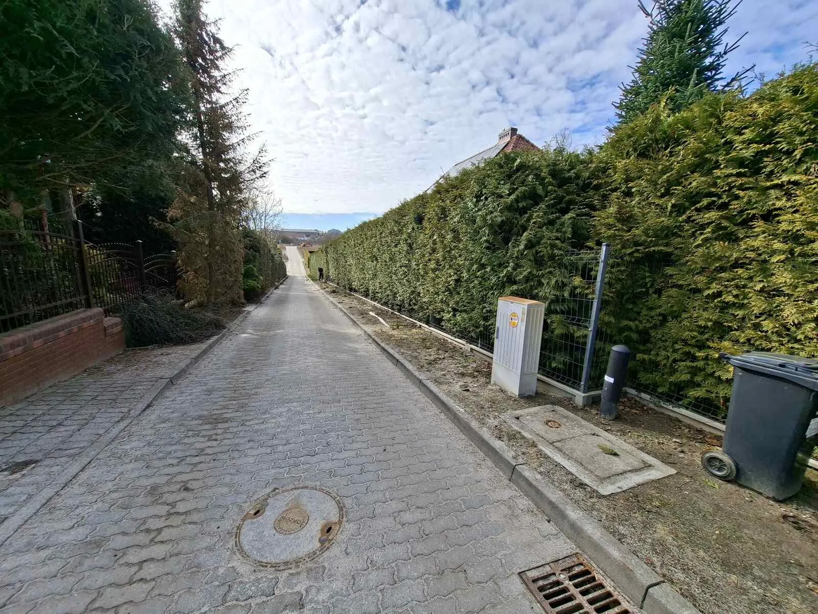 Realizacja - Pielęgnacja ogrodu Zielona Góra i okolice