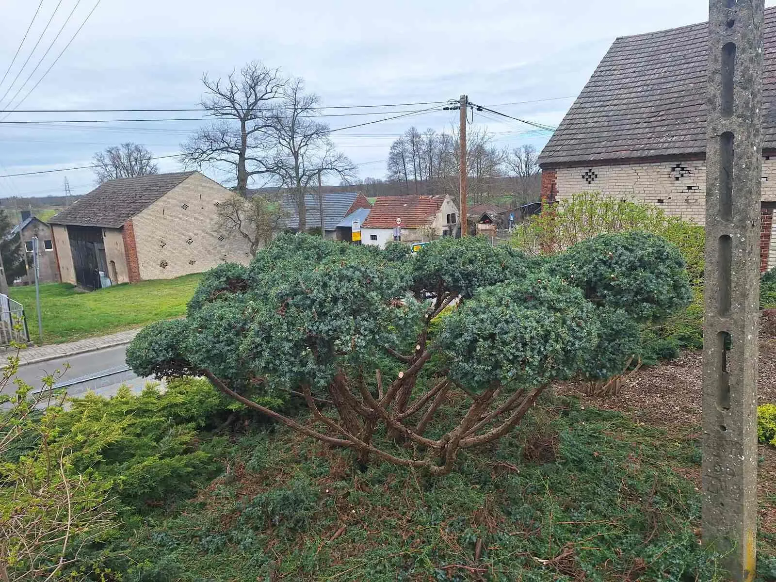 Realizacja - Pielęgnacja ogrodu Zielona Góra i okolice