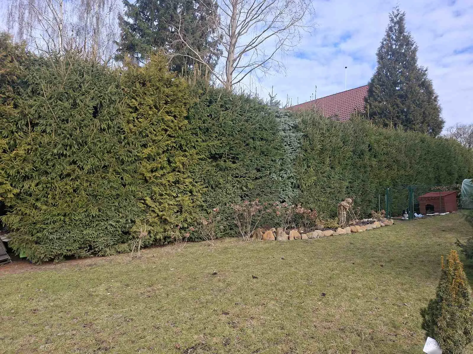 Realizacja - Pielęgnacja ogrodu Zielona Góra i okolice